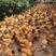 岭南黄阉鸡，长期供应各品种，各日期段阉鸡。