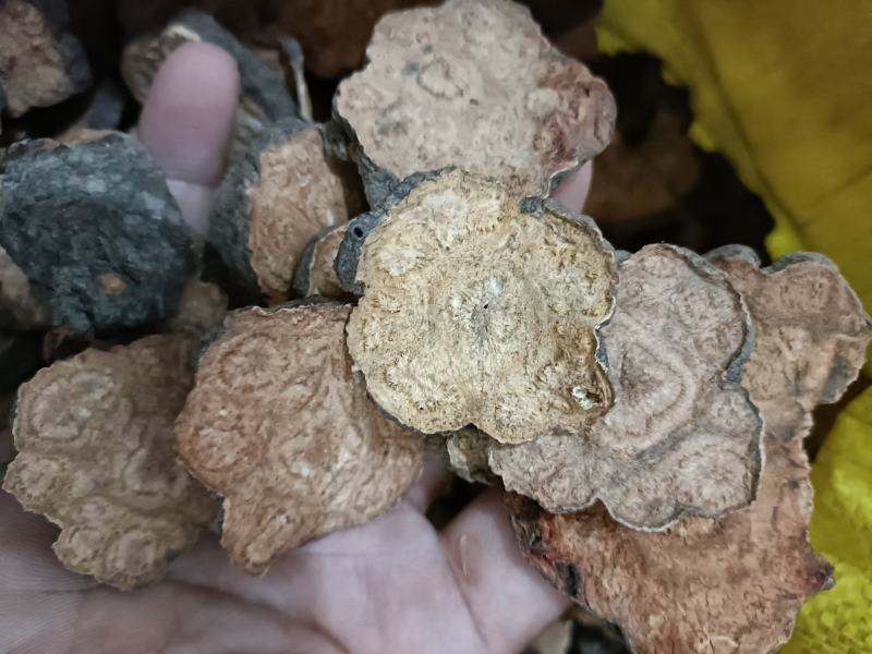 何首乌切片干货自然晒干批发零售无硫熏