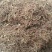 花椒枝泡脚专用大红袍花椒花椒杆无色素香浓花椒枝5斤