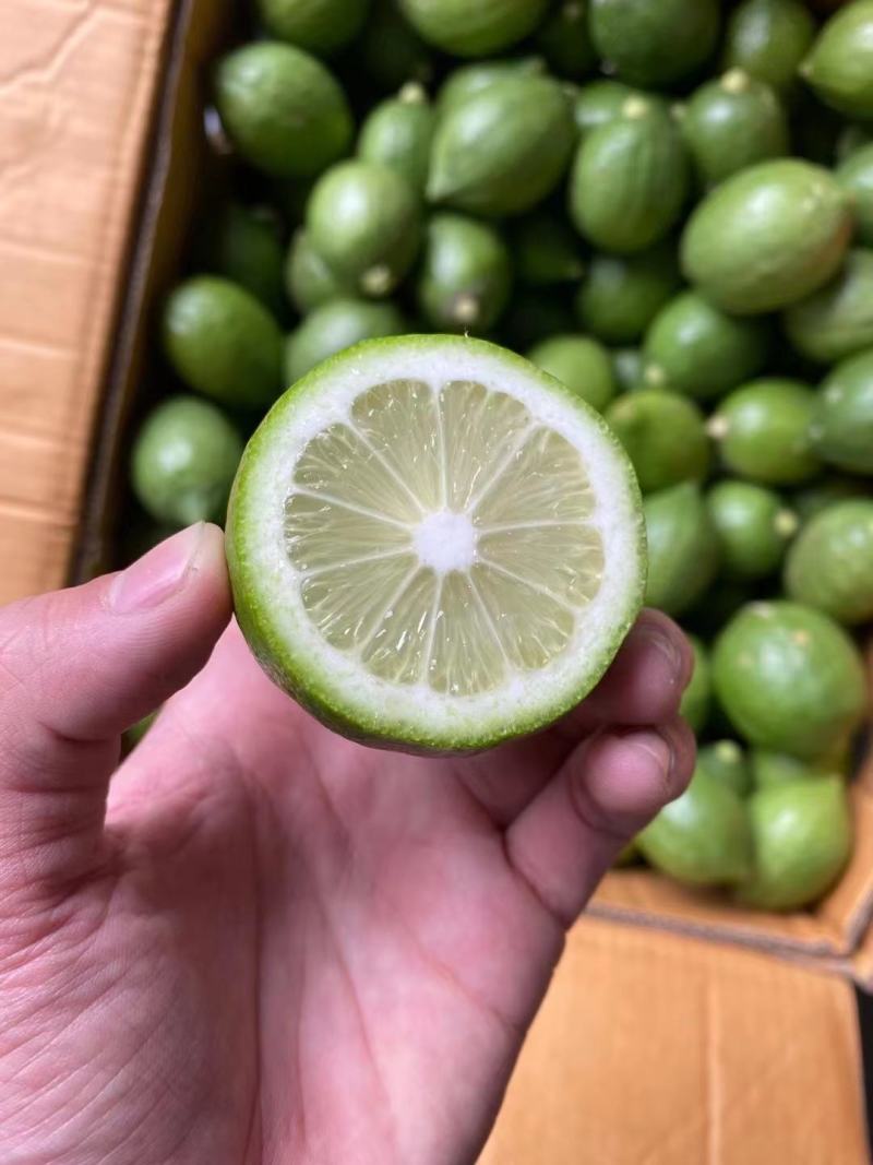 广东无籽香水柠檬自家果园香味浓郁一件代发