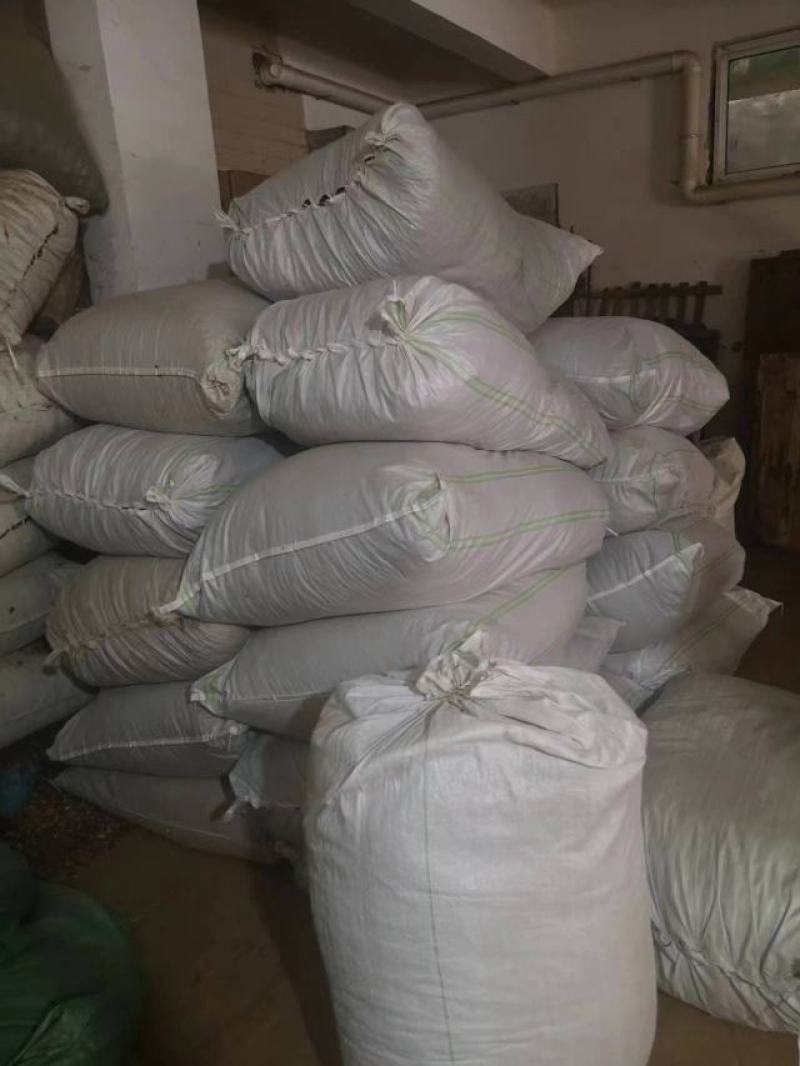 普洱茶毛料