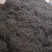 普洱茶毛料