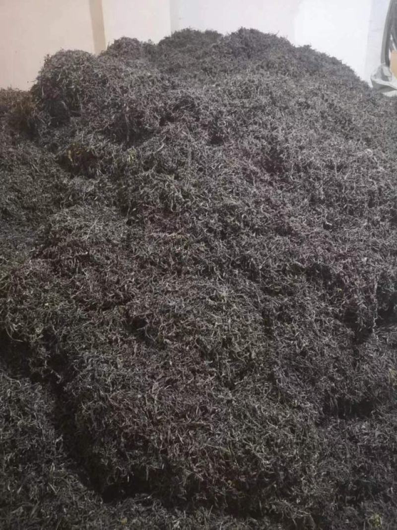 普洱茶毛料