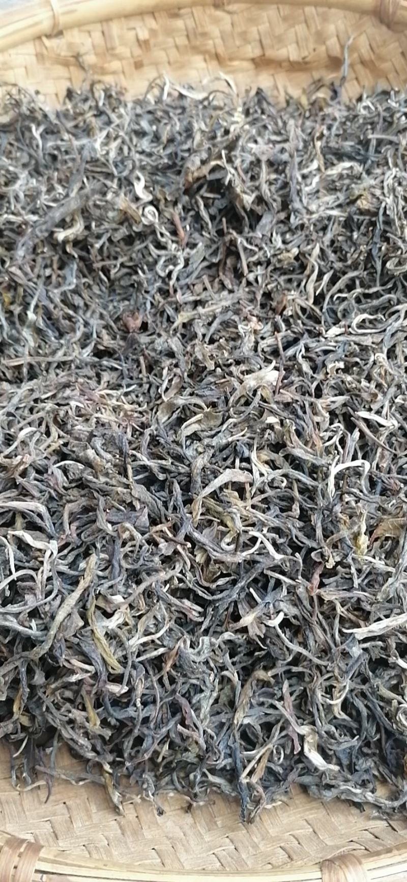 普洱茶毛料