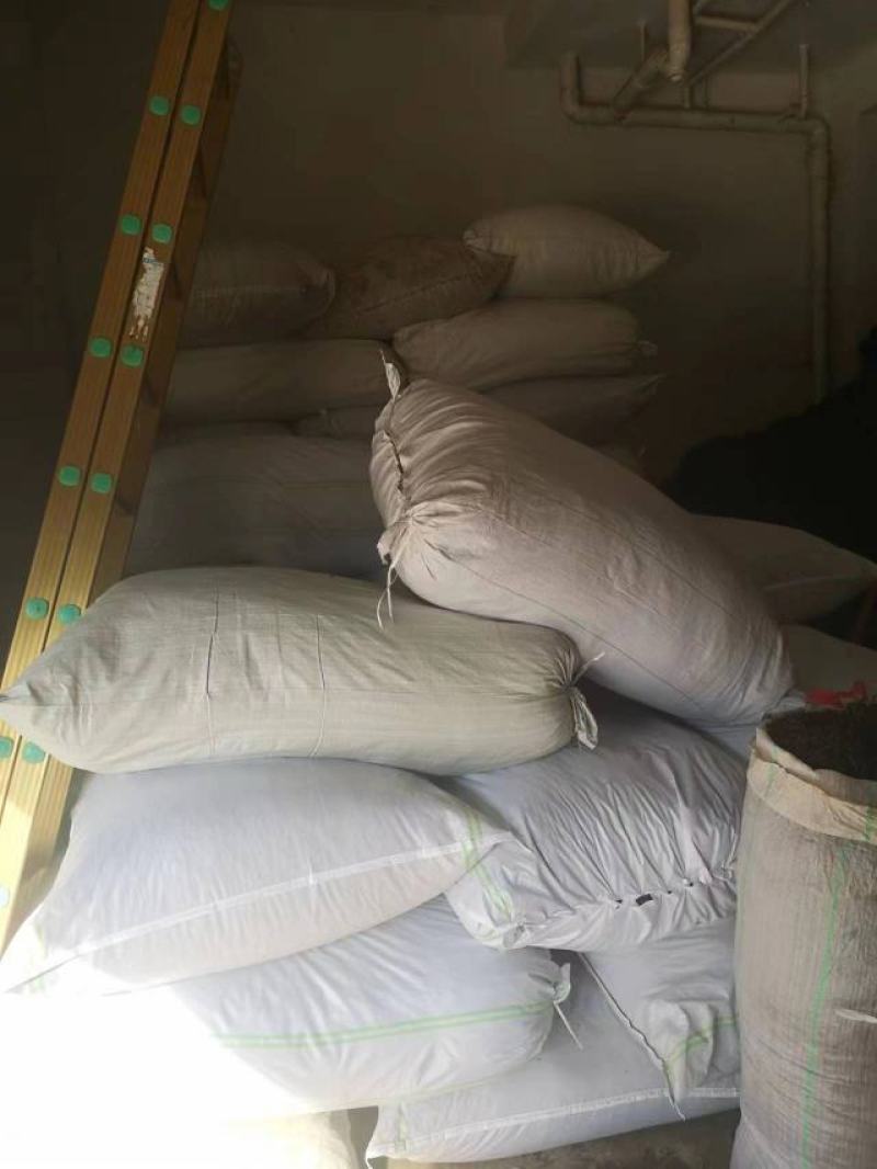 普洱茶毛料