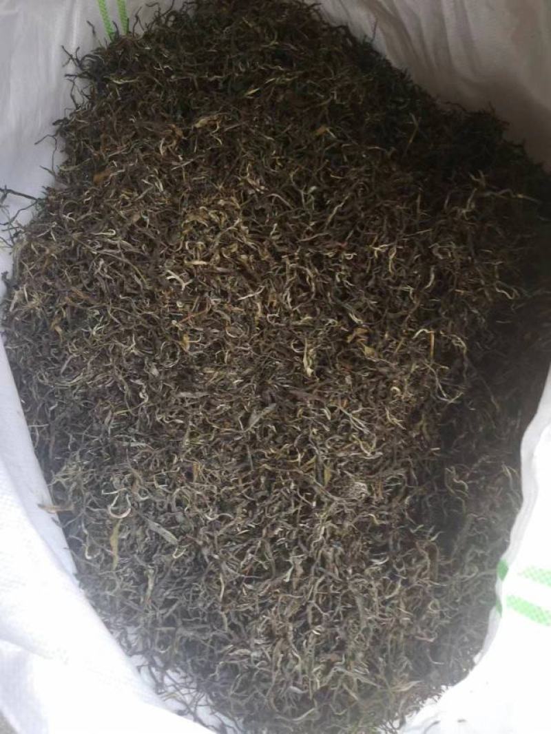 普洱茶毛料