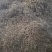 普洱茶毛料