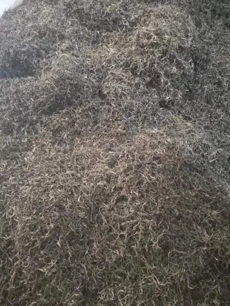 普洱茶毛料