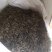 普洱茶毛料