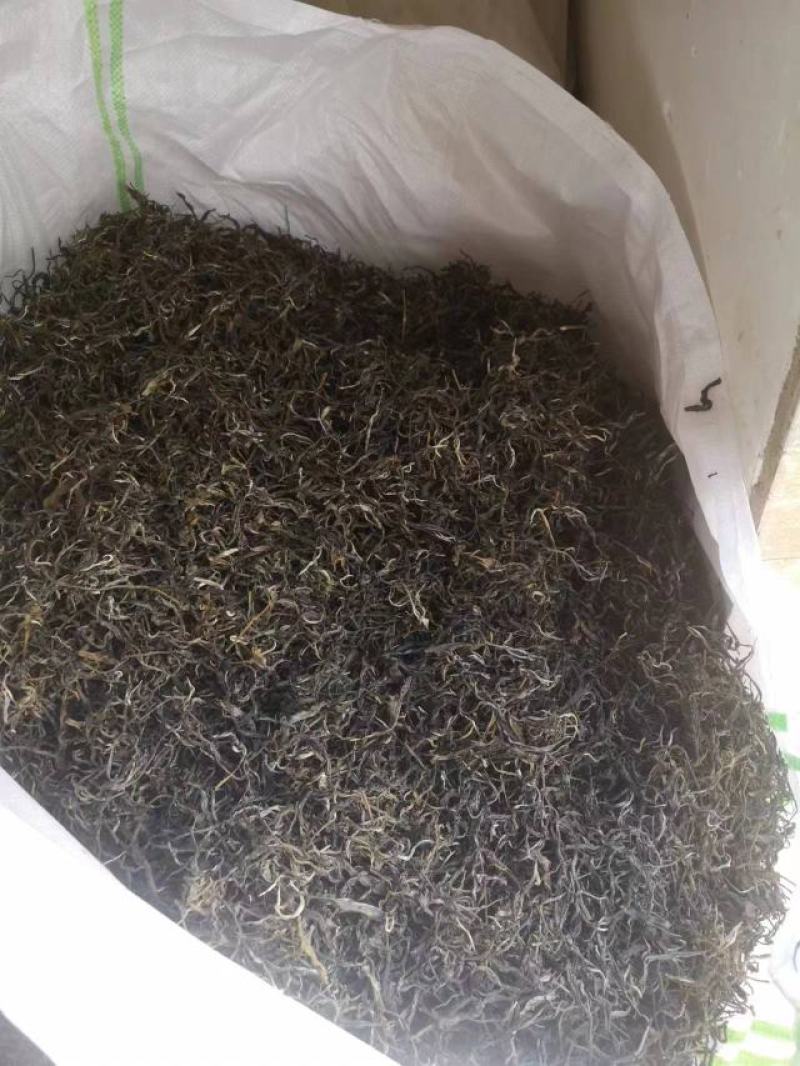 普洱茶毛料