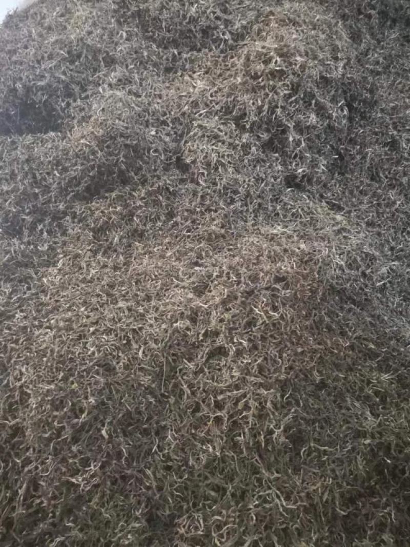 普洱茶毛料