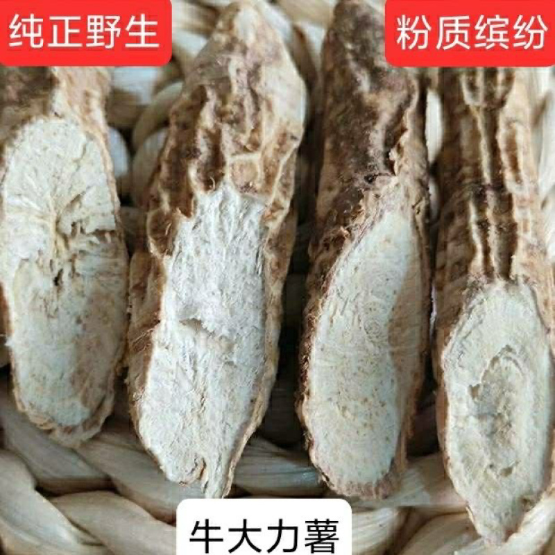 深山挖出来野生牛大力干片