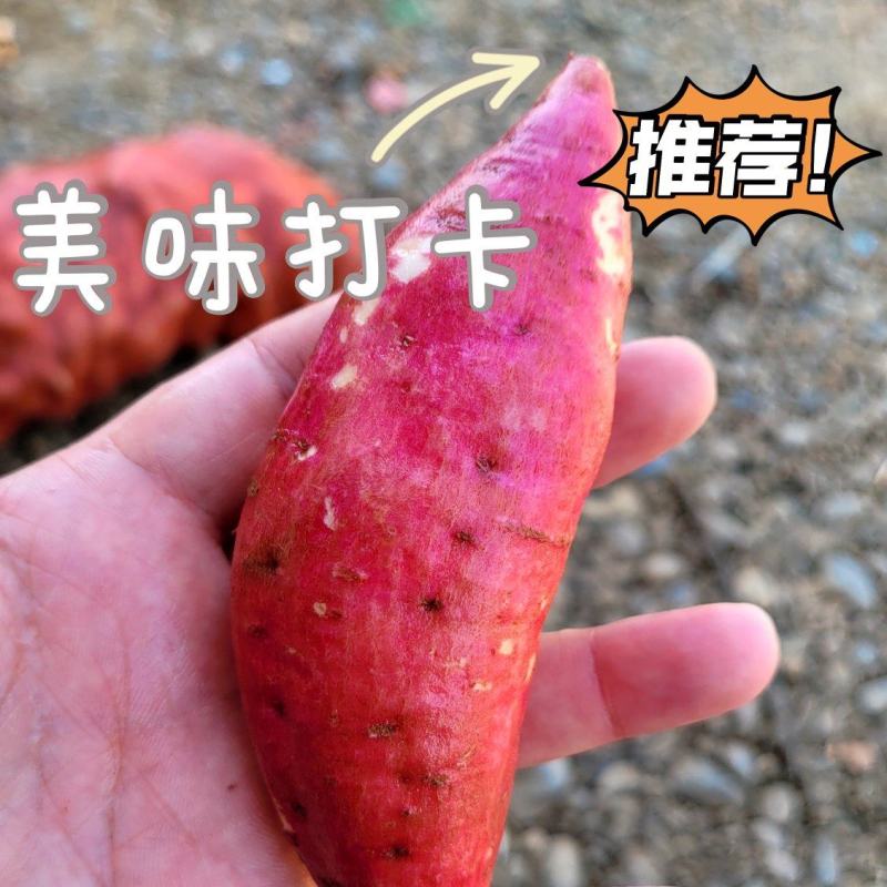 大吨位龙九，便宜卖了。要求你定，质量我把控！
