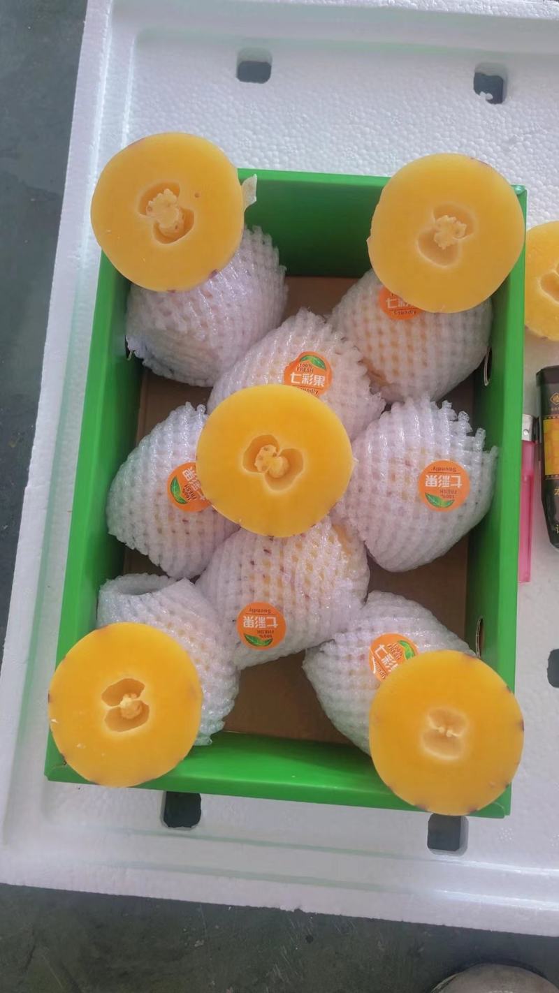 石林人参果之乡