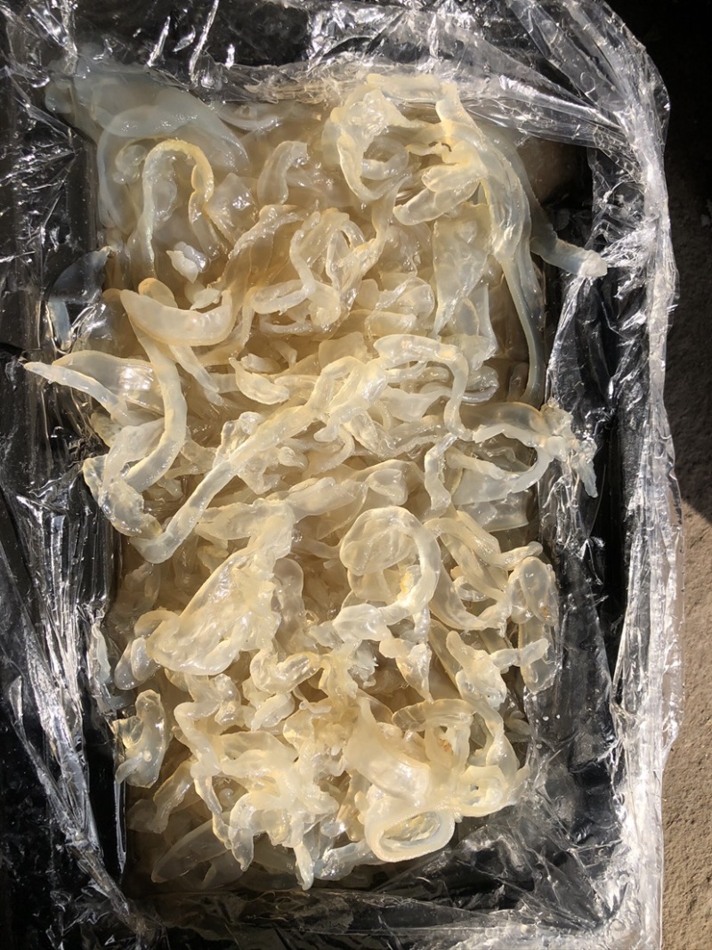 【销量推荐】即食海蜇丝，海蜇头，厂家直供，可一件代发！