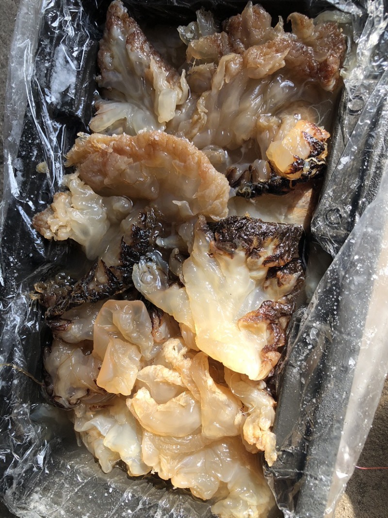 【销量推荐】即食海蜇丝，海蜇头，厂家直供，可一件代发！