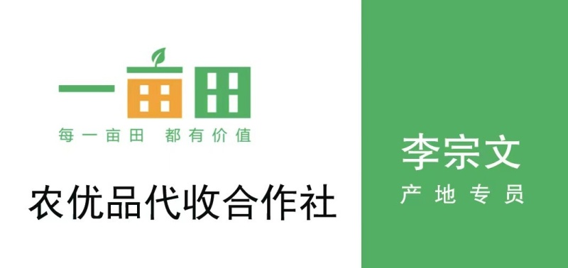开封沙土地龙九产区直供，全国发货档口市场电商超市