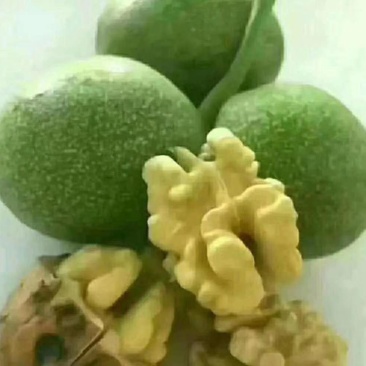 高山青皮核桃，皮薄仁白，口感油香，保质保量，货源充足