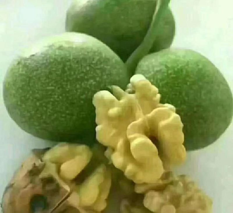 高山青皮核桃，皮薄仁白，口感油香，保质保量，货源充足