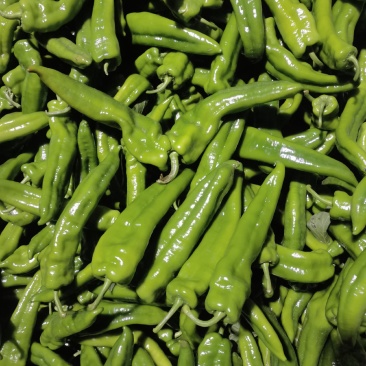 精品牛角大量上市