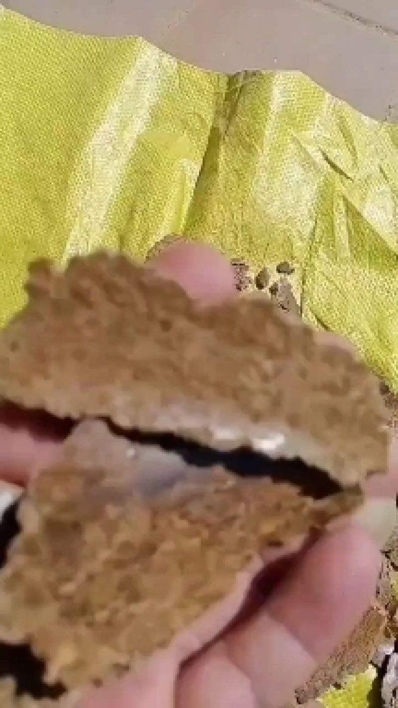 南瓜籽饼现货，袋装上车，牛羊养殖专用好货