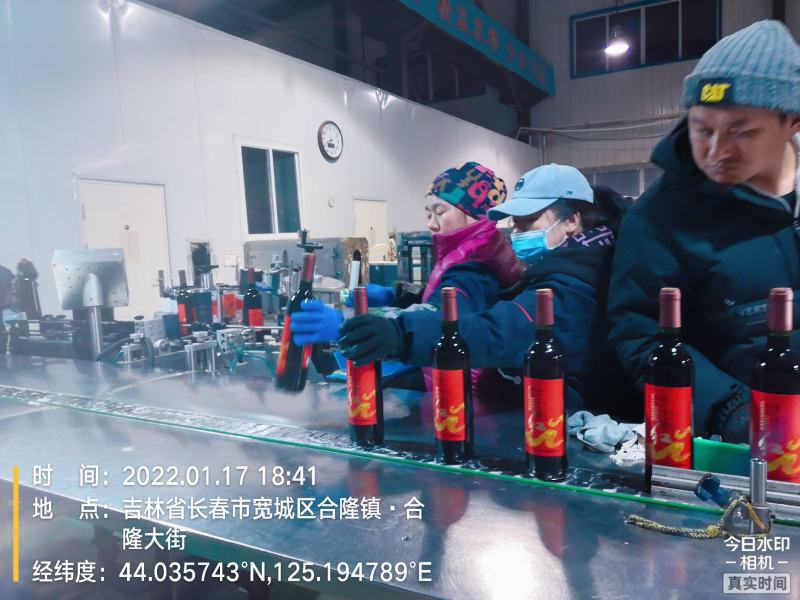 果酒-葡萄酒南沟十七里红山葡萄酒厂区现货价格便宜