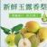 玉露香梨