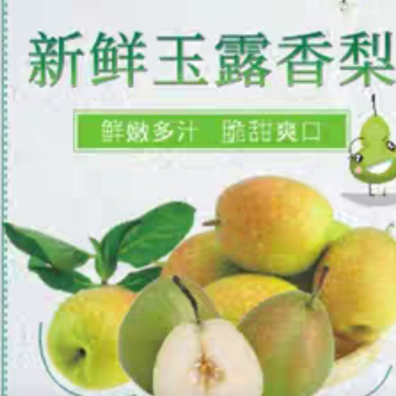 玉露香梨