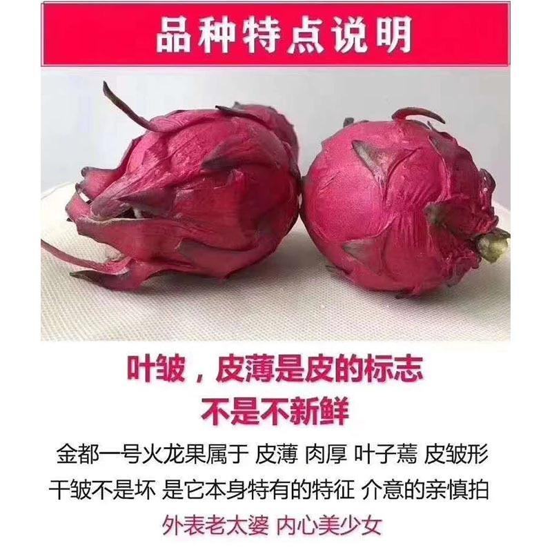 广西金都红心火龙果当季新鲜水果现摘发货整箱一件代发