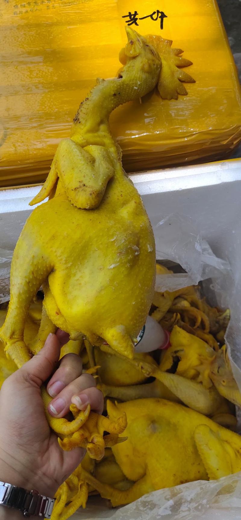 【盐焗鸡】盐焗鸡，颜色好。品相好价格美丽市场火爆得不得了