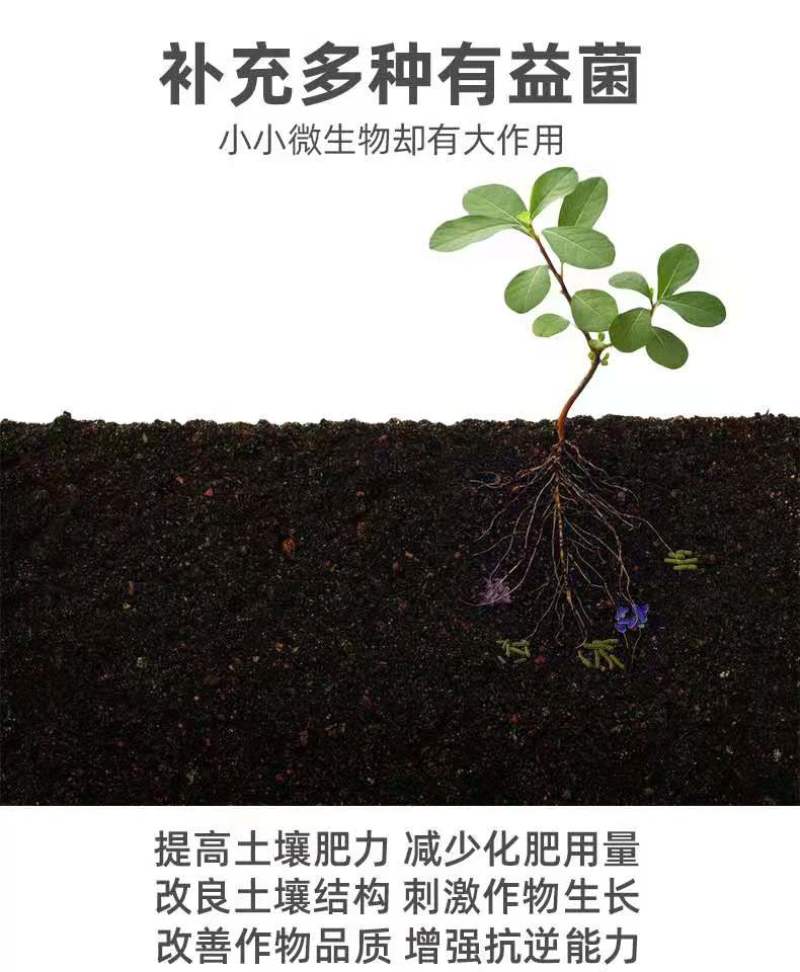 EM菌调土壤，防死棵，抗重茬。增产量，提高作物果实品质！