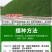 紫羊茅草种四季青草坪种子不修剪草籽草皮庭院矮绿化耐寒护坡