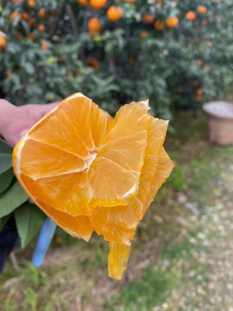 出售光果爱媛，货源充足有意向的老板可联系我