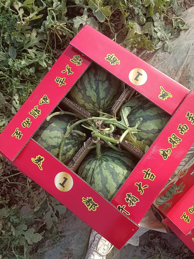 陕西红富士苹果猕猴桃葡萄桃子西瓜