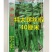 洛椒43螺丝椒种子大果型品种浓香辣品种，大田种子