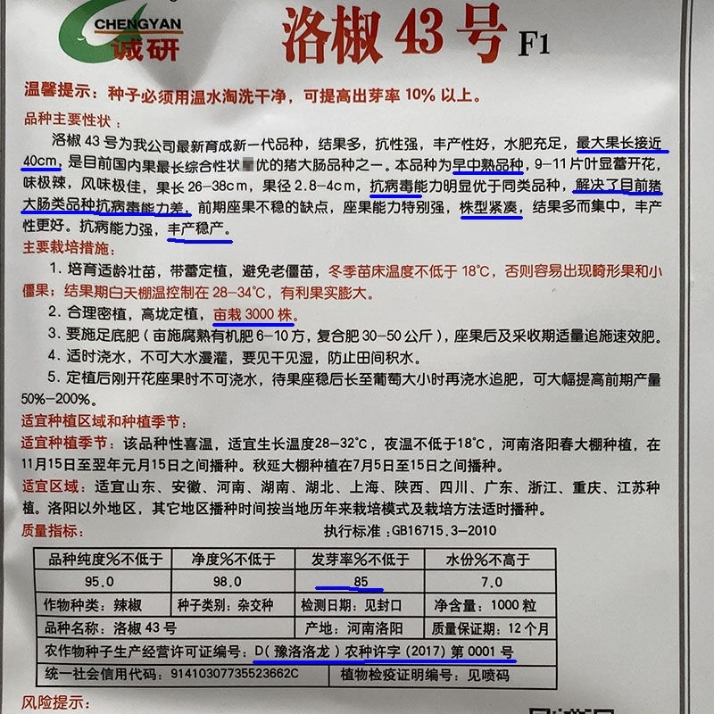 洛椒43螺丝椒种子大果型品种浓香辣品种，大田种子