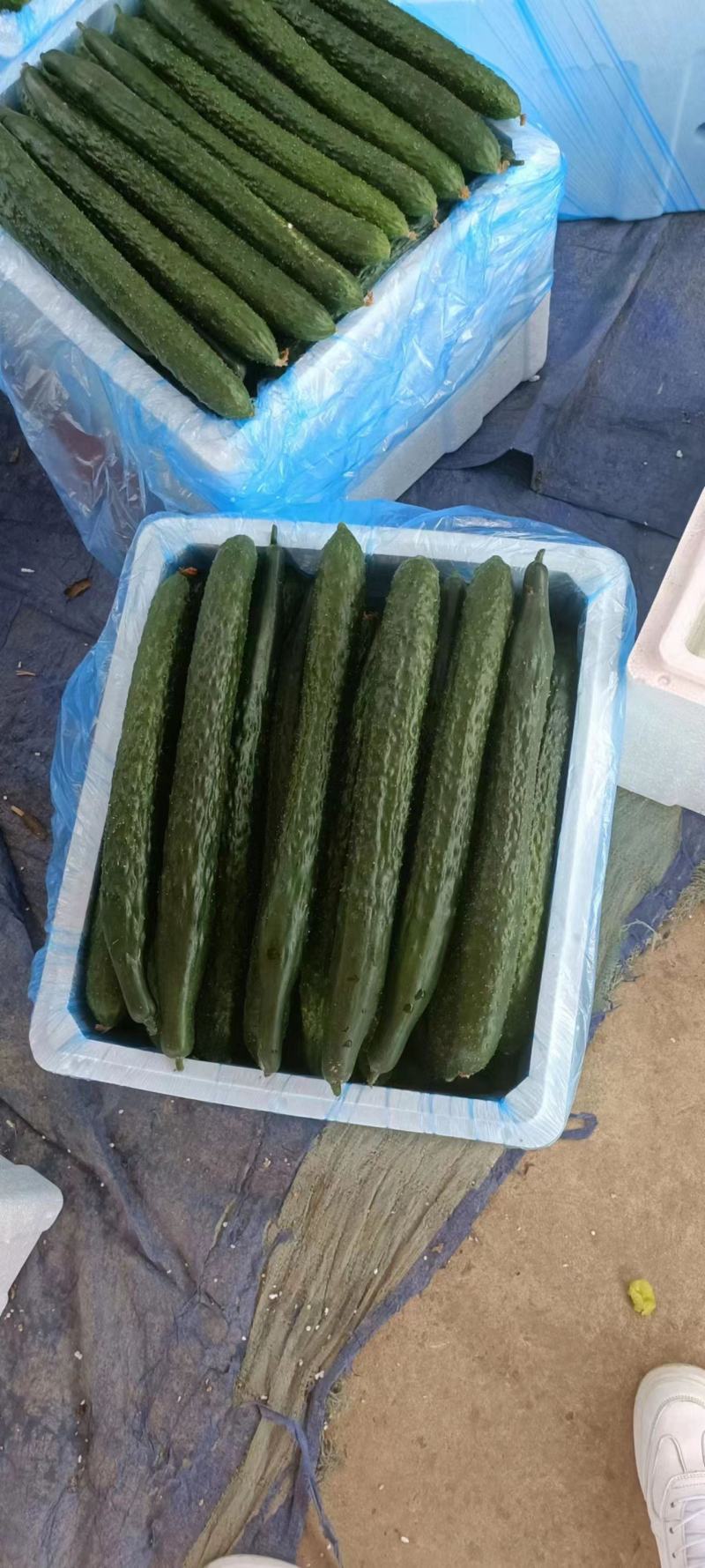 精品黄瓜