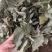 优质淫羊藿长自贵州高原纯野生全株泡茶泡水泡酒