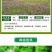 进口三叶草种子红三叶种子多年生绿化草籽