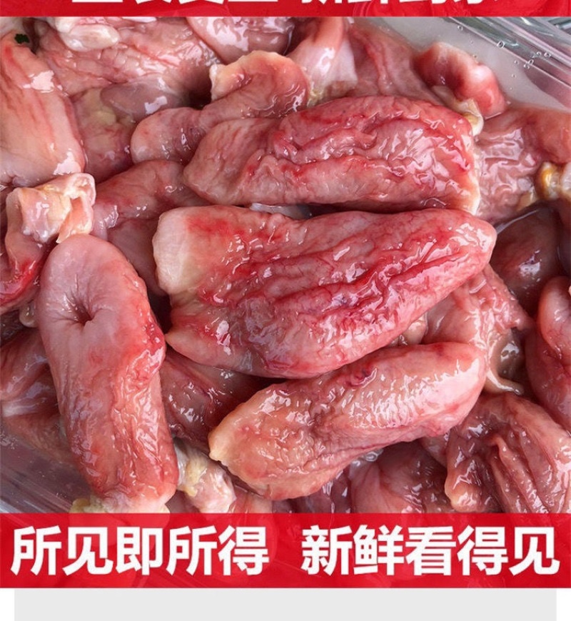 新鲜石斑鱼肚鱼鳔花胶鱼泡火锅食材商用批发鱼肚