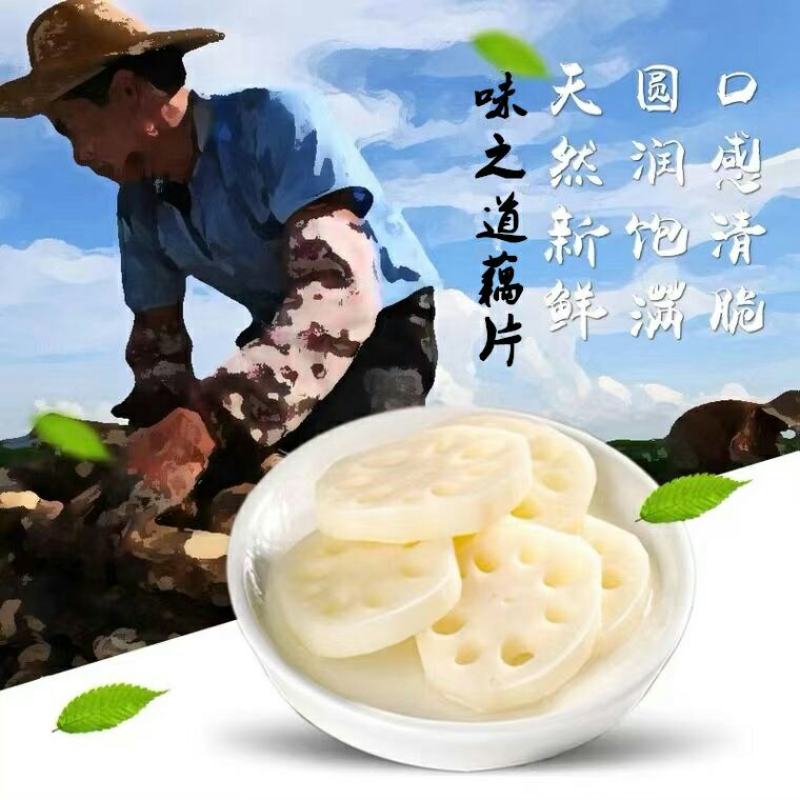 新鲜莲藕，手工切片，净菜