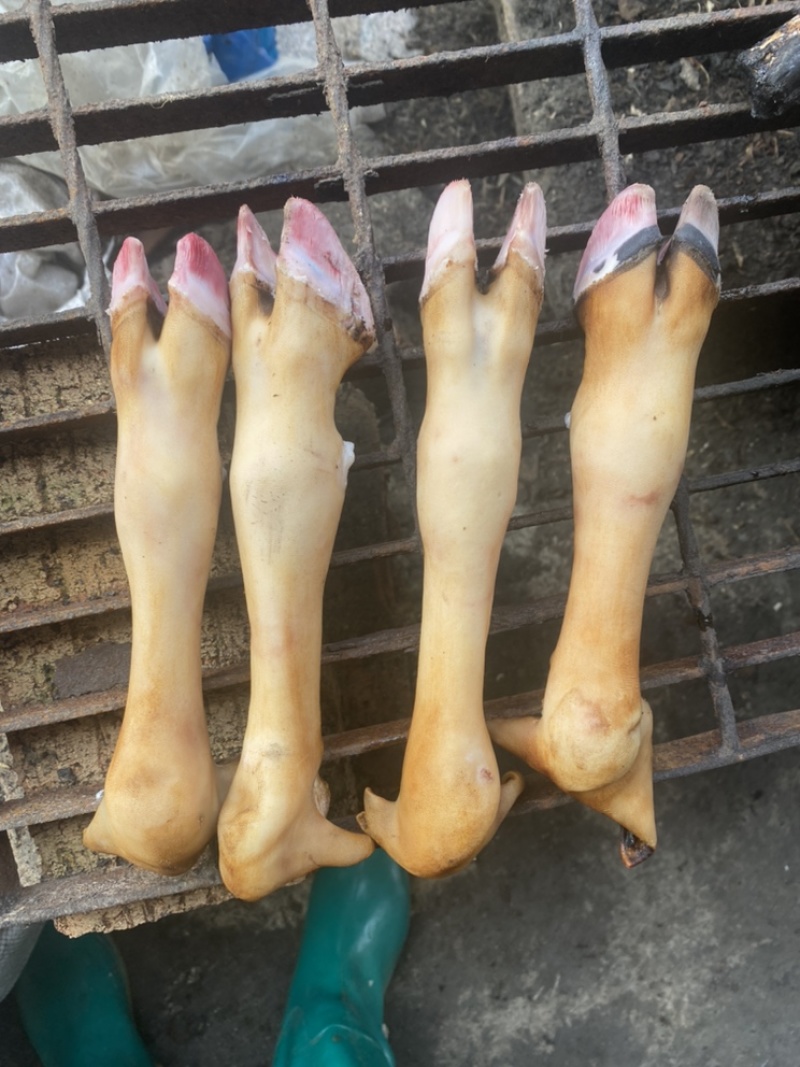 羊蹄，火烧羊蹄，一斤秤三个，