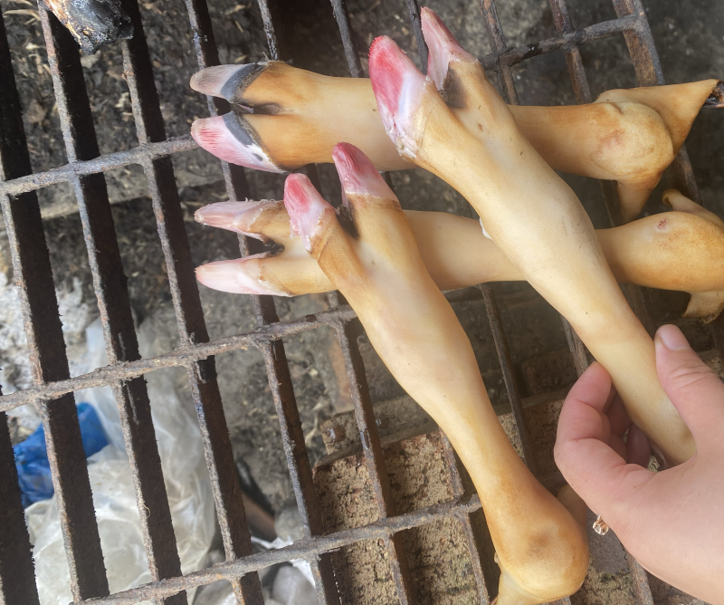 羊蹄，火烧羊蹄，一斤秤三个，