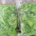 清远本土绿色种植水果芋荷梗，广东包邮，全国发货