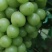 葡萄苗，夏黑根嫁接，5bb，贝达根嫁接50万棵