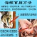连云港贝类鲜活海螺海鲜水产批发产地直发