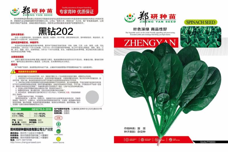 【精】茼禧茼蒿种子叶片平展直立性好袋装300g