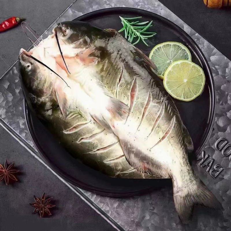 鮰鱼，活鱼宰杀，三去处理
