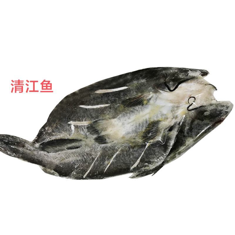 鮰鱼，活鱼宰杀，三去处理