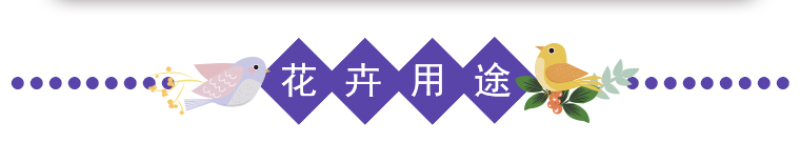 蓝花鸢尾种子鸢尾种子紫蝴蝶耐寒耐旱庭院工程绿化种植